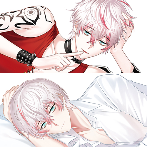 [Ray & Unknown] Funda almohada cuerpo entero (Artículo Individual)